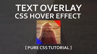 Animated Image Hover Effects with Captions - Text Overlay Css Hover Effect