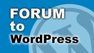 WordPress Forum: 6 Best Forum Plugins For Your Website