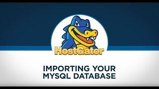 Importing MySQL Database