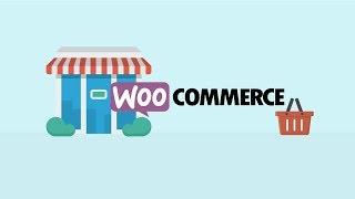 How To Use WooCommerce WordPress Plugin?