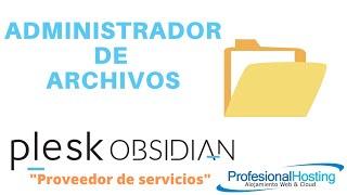 Administrador de archivos en Plesk obsidian versión proveedor de servicios