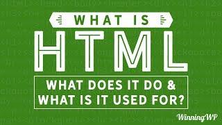 What is HTML? What Does It Do? And What Is It Used For?