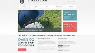 Cricket Responsive Moto CMS 3 Template #54638