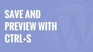 How to Save and Preview WordPress Posts Using CtrlS