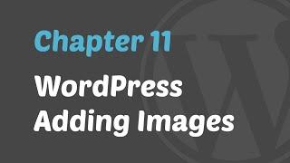 WordPress 101 - Adding Images in WordPress Posts