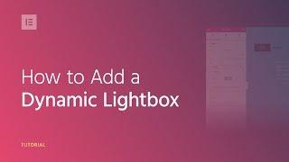 How to Add a Dynamic Lightbox to Your WordPress Website