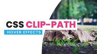 CSS Clip Path Hover Circle Hover Effects | Html CSS