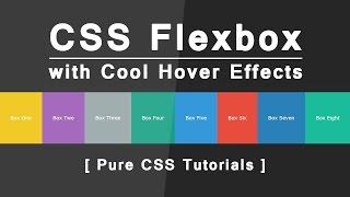 Css Flexbox with cool hover effects - css3 hover effects - pure css tutorials