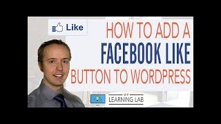 Facebook Like Button: How To Add Like Button To Wordpress
