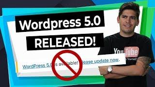 Wordpress Gutenberg 5.0 RELEASED: DONT UPDATE! - Divi Theme, Elementor and Brizy TESTED!!