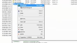 How to manage files with CuteFTP