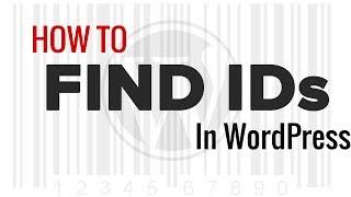 How to Find Post, Category, Tag, Comments, or User ID in WordPress