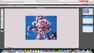 How To Add a Slide Show to a WordPress Website - EASY to Use!