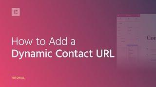 How to Use the Dynamic Contact URL on Your WordPress Website