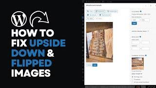 Fix Upside Down and Flipped Images in WordPress Tutorial