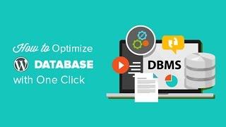 How to Optimize Your WordPress Database with One Click
