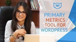 TM Service Center: Primary Metrics Tool for WordPress