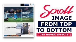 Scroll Image From Top To Bottom - Pure CSS Image Hover Effects Tutorial for Beginners