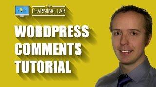 WordPress Comments Tutorial | WP Learning Lab