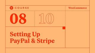 [08] Setting Up PayPal & Stripe