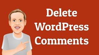 How to Delete Comments in WordPress | Beginners Series