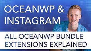 Instagram Widget Tutorial | OceanWP Extension Bundle