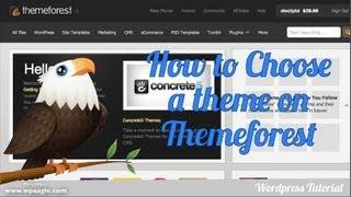 How to choose a Wordpress Theme on Themeforest