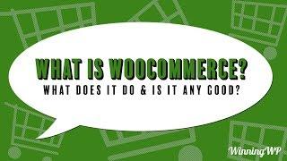 What is WooCommerce? What Does It Do And Is It Any Good?