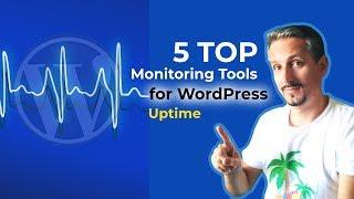 Monitor Website Uptime: 5 Top WordPress Downtime Monitoring Services