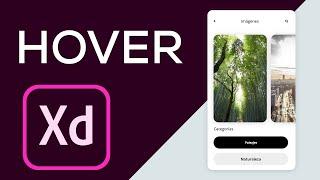 Como Agregar Efectos Hover + Slideshow en tus Prototipos de Adobe XD