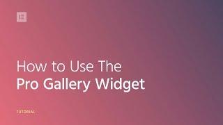 How to Use The Pro Gallery Widget in Elementor