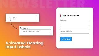 CSS Newsletter with Animated Floating Input Labels | Move Placeholder Above The input on Focus