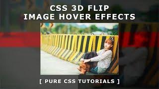 Css 3D Image layer flip Hover Effects - Css3 Image Hover Effects - Flip an image layer on hover