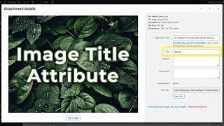 Understanding the Image Title Attribute