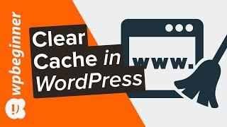 How to Clear Your Cache in WordPress