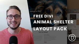 Get a Free & Captivating Animal Shelter Layout Pack for Divi