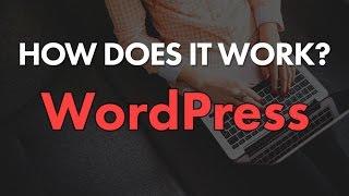 How Does WordPress Work? File Structure & Hierarchy Explained