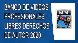 Banco de Videos de Alta Resolución 2020