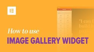 How to Use Image Gallery Widget on Elementor Page Builder Plugin