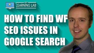 How To Check The Google Search Results For Potential WordPress SEO Issues | WP Learning Lab