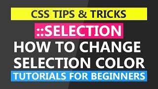 How To Change Text Selection Color - Tutorials For Beginners