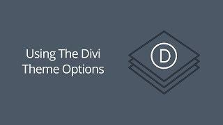 Using The Divi Theme Options