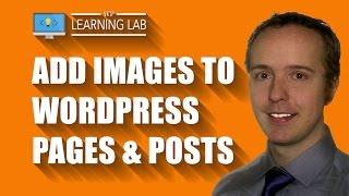 WordPress Image Upload to Pages and Posts | WP Learning Lab
