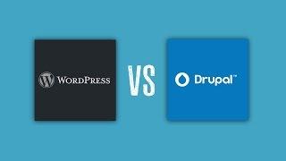 Drupal Vs WordPress - Which Is The Best CMS?