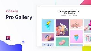 Introducing Pro Gallery: The Best Gallery Solution for WordPress
