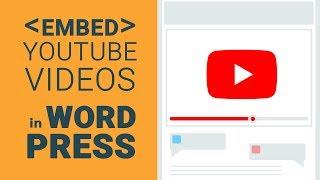 How to embed YouTube video in WordPress [tutorial]
