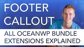Footer Callout Tutorial | OceanWP Extension Bundle