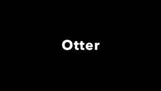 What's New In Otter 1.2 (Gutenberg Blocks And Template Library)