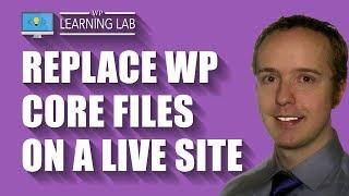 WordPress Core Files Replacement Done Manually On A Live Site