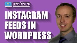 Use Instagram Feed to Add Yours And Other People's Instagram Feeds | WP Learning Lab